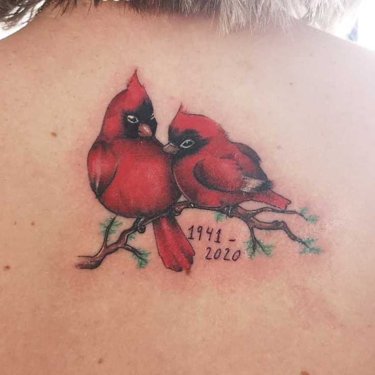 best cardinal tattoo designs you need to see!  Cardinal