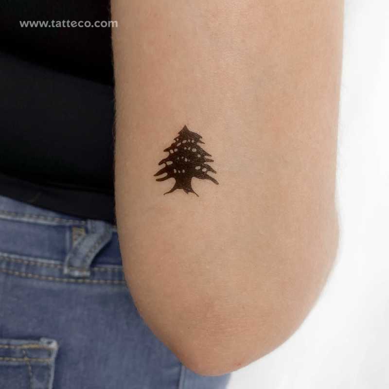 Cedar Tree Temporary Tattoo - Set of