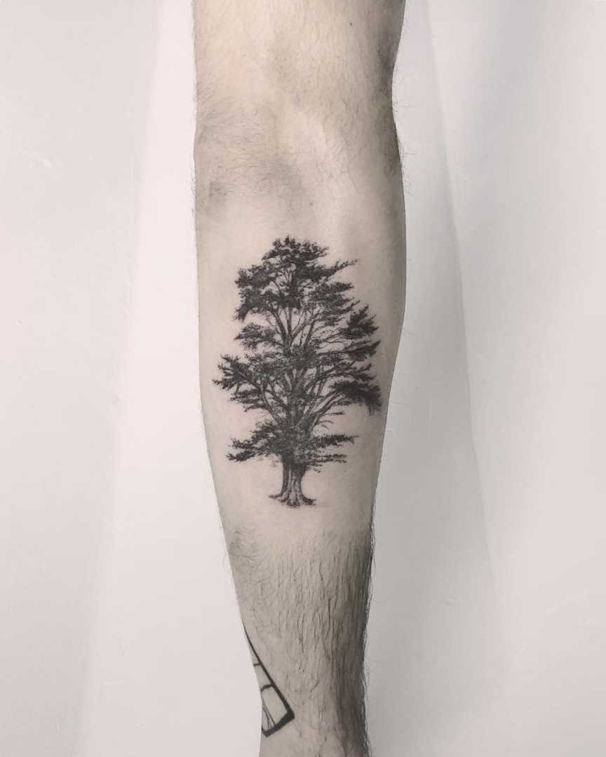 Lebanese cedar tree tattoo by Annelie Fransson  Tattoos, Tree