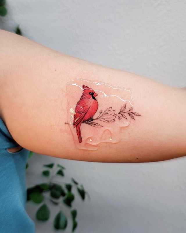 Micro-realistic Cardinal Tattoo on Inner Arm