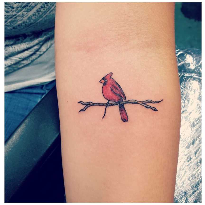 Tiny little cardinal on a branch! #cardinal #cardinaltattoo
